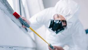 Best Commercial Pest Control  in Dawson, MN